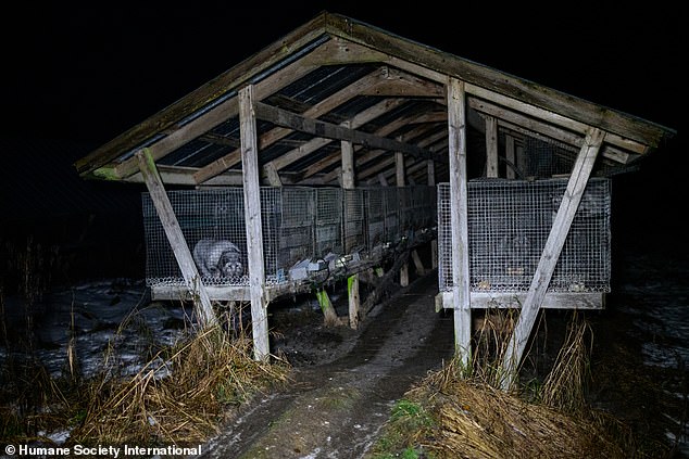 A row of cages on one of the farms