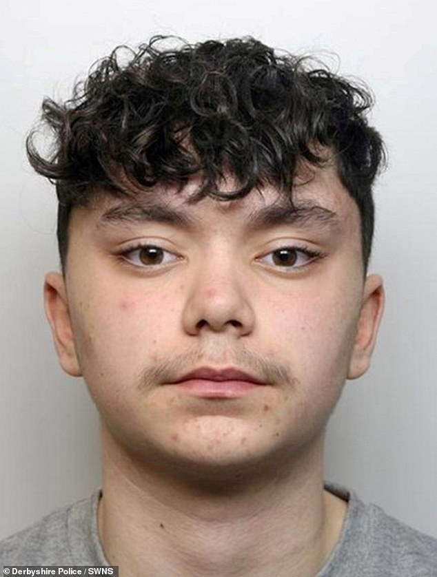 Moumeche (pictured), now 18, was found guilty of manslaughter in July and was today sentenced to two years' youth detention at Derby Crown Court.