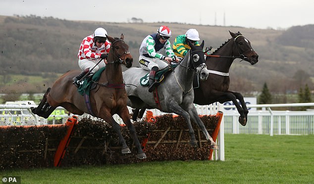 Gold Cup Day can create legends and stir the soul as the winter racing season gets underway