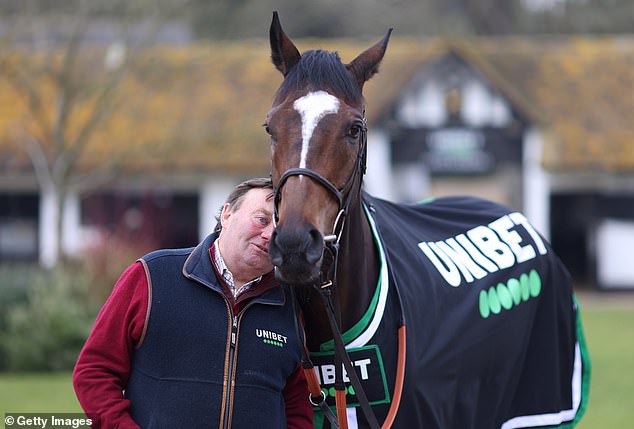 The Nicky Henderson-trained Jonbon is one to look out for as the festival gets underway