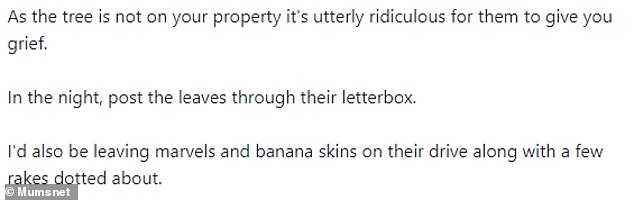 1700266483 805 My nightmare neighbours are wrongly convinced the leaves on their