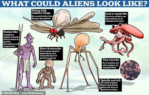 QUIZ: If aliens exist, what would they actually look like?  MailOnline asked a number of experts and these are some of their answers