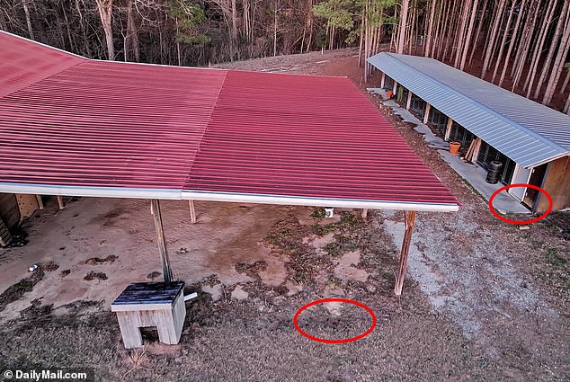 The kennels where the murders took place: Maggie's body was found a few yards to the right of a doghouse, while Paul's lay near the doorway at the end of the kennels