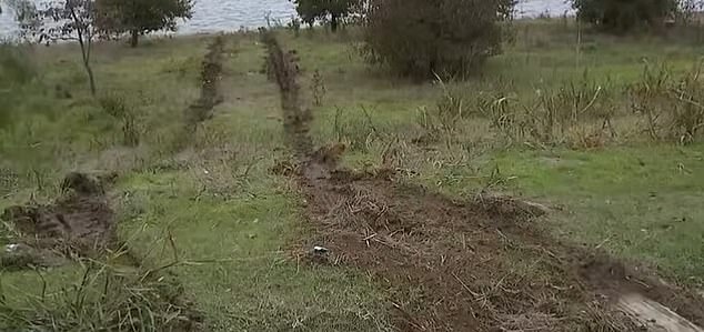 Deep tire tracks are still visible, showing the car's path to the pond