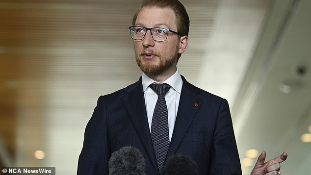 Coalition home affairs spokesman James Paterson (pictured) said the act was 'deliberate'.