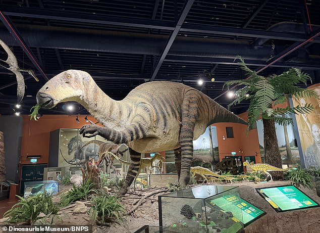 A model of an Iguanodon in the Dinosaur Isle Museum on the Isle of Wight