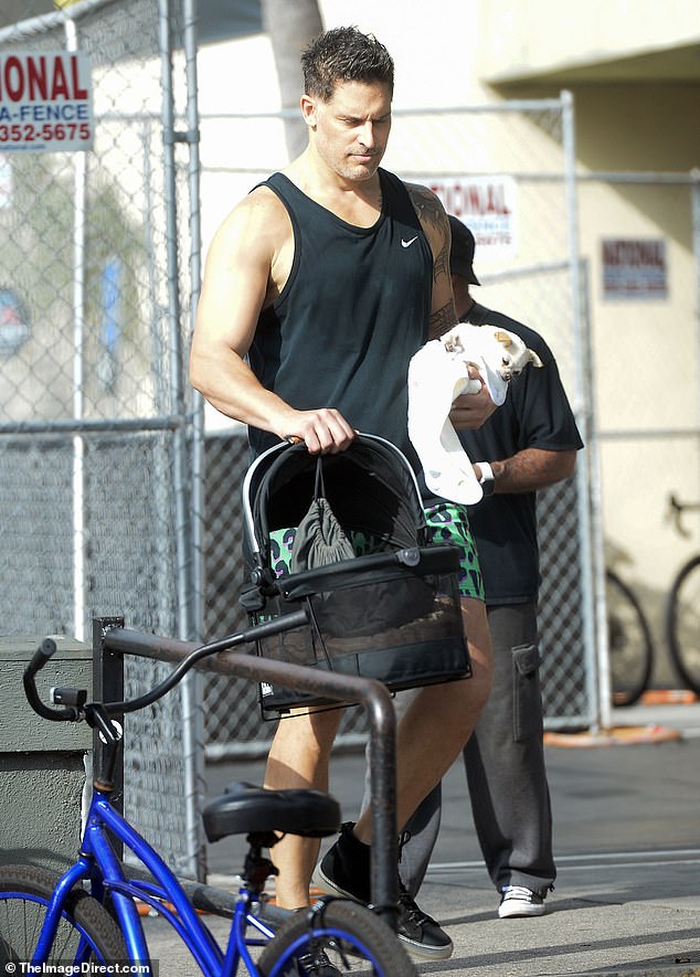 Puppy love: The MTV Movie Award nominee stepped out in black high-top sneakers carrying a mini crib filled with a blanket and toys for Bubbles in one hand and the tiny Pomeranian-Chihuahua mix in the other