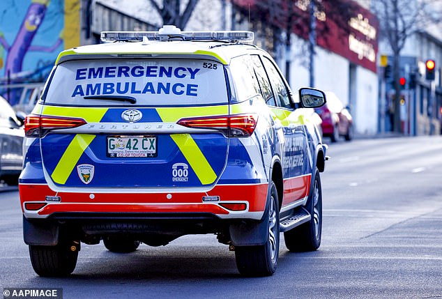 Emergency services were called to a memorial park in Zeehan, on Tasmania's west coast, at around 5pm on Monday (pictured)