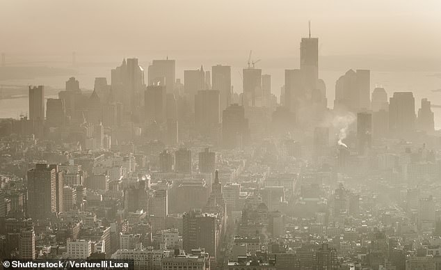 Smog is composed primarily of ground-level ozone along with other gases and particulate pollution.  Image, smog over New York