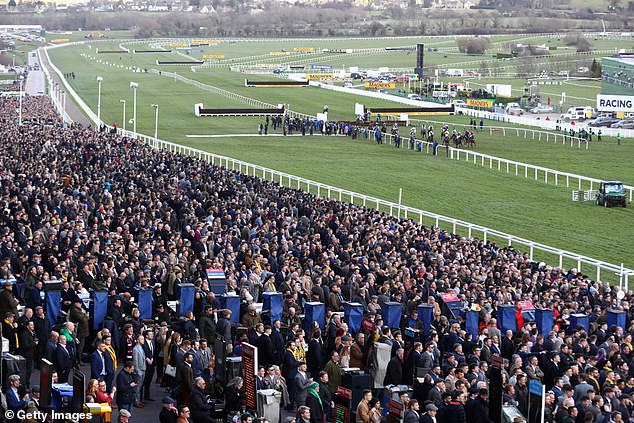 Inquiry witnesses have already been asked about the decision to go ahead with the Cheltenham Festival (pictured March 13, 2020) and the Champions League match between Liverpool and Atletico Madrid in early March 2020, as cases continued to spread across Europe.