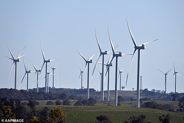 Ms Rinehart said if the costs of moving towards net zero emissions were not contained, many farmers would give up farming