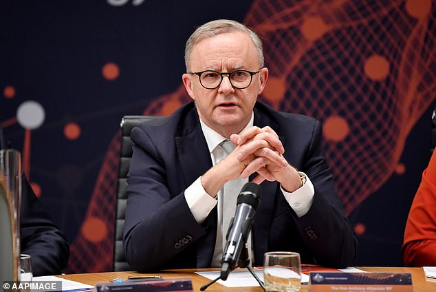 Mr Albanese (pictured) faced a barrage of criticism over whether he raised the issue with Chinese President Xi Jinping at the APEC summit last week