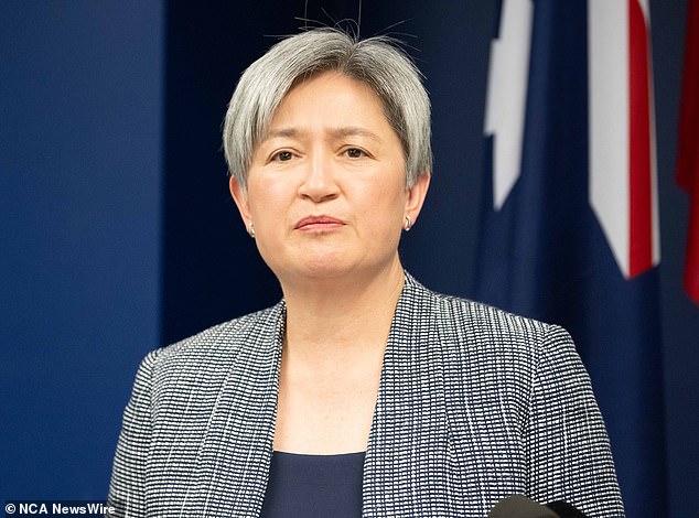 Ms Wong (above) said Australia wants to see a 'lasting ceasefire' between Hamas and the Israeli government