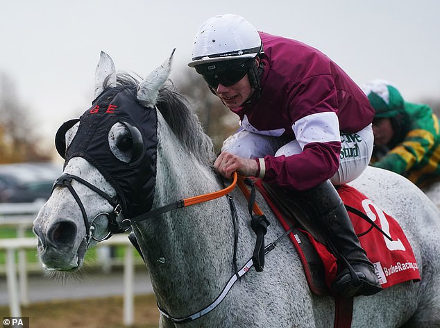 The Gordon Elliott-trained Coko Beach won the Troytown Handicap Chase at Navan on Sunday