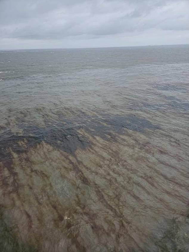 The U.S. Coast Guard identified the incident Friday and determined this week that the black, toxic petroleum was leaking near a 67-mile pipeline off Louisiana's southeast coast.