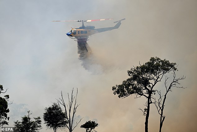 The wet weather has helped extinguish many of the hundreds of bushfires burning in Queensland