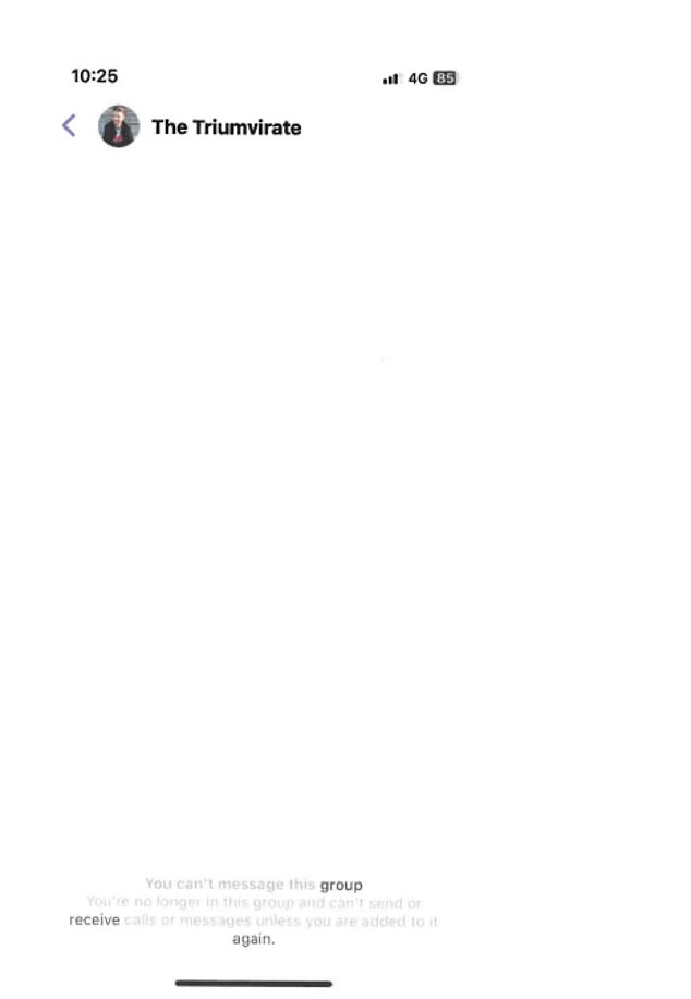 Mr Lehrmann said: 'When I was removed from these groups, [the administrators] would highlight in the messenger app that I had been deleted'