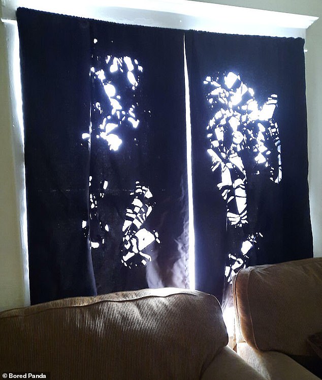 Sunny delight!  A dryer disaster has left some blackout curtains unusable