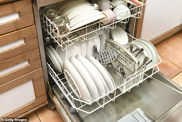 Other dishwasher tricks have been posted by TikTok over the years, some similar to the one in @hotdogsilly's video