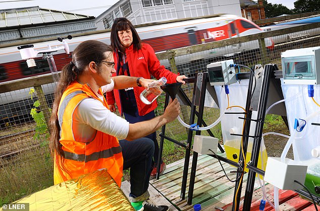 An initial five-month trial tested the feasibility of using microalgae bioreactors to capture carbon around train stations