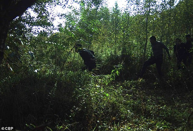 There is no fencing along the intersection and much of the area consists of woodland and unpaved paths