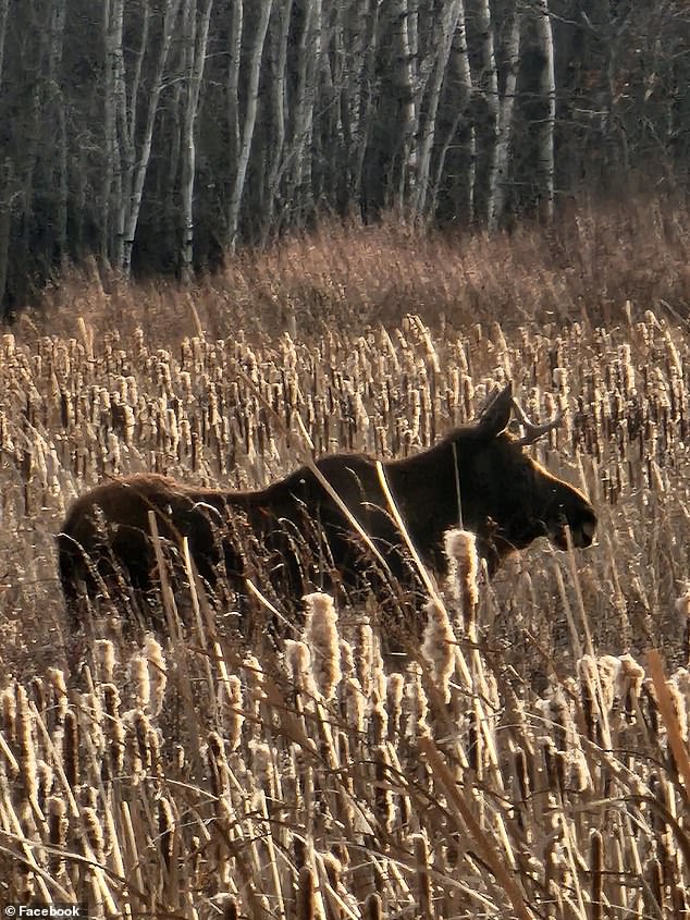 When Rutt spent nearly a week in Sauk Center, a Minnesota city near Interstate 94, the group's main concern was whether he could get through safely.