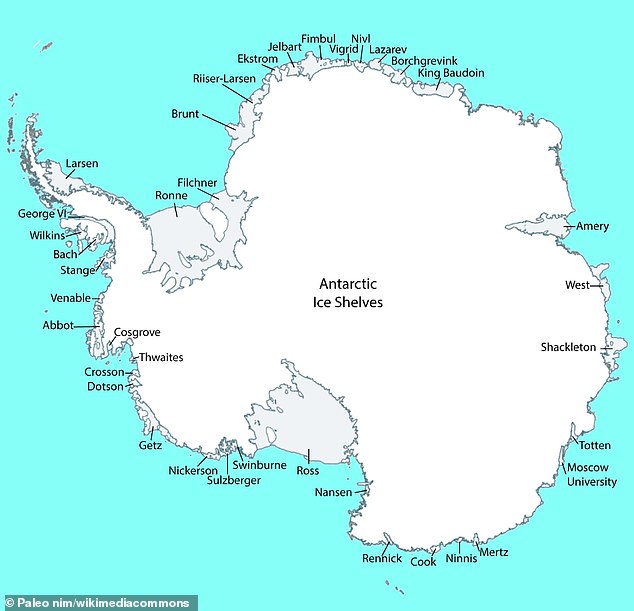 Antarctica is home to a number of ice shelves shown on this map, including the Filchner, Shackleton and Ross ice shelves.  Filchner is located to the east of the Antarctic Peninsula (the part that sticks out from the Antarctic mainland like a small tail)