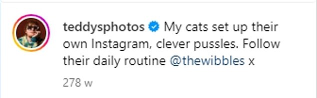 Cat lover: the star even set up an Instagram account dedicated to his cat's Dorito and Calippo in 2018