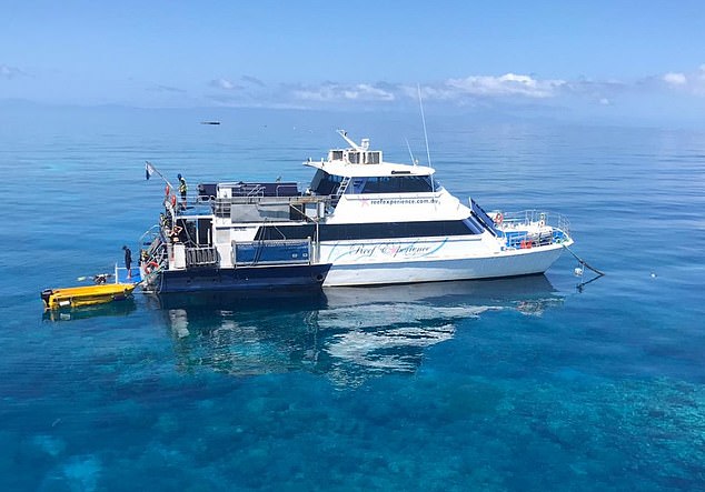 Mr Meyer's son, Nicholas, claims he was contacted by Reef Experience's lawyer while still holding his father's body aboard the reef tour boat (above)