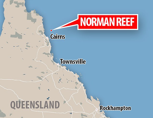 The tour group was on Norman Reef, about 60 kilometers outside Cairns, when the tragedy unfolded