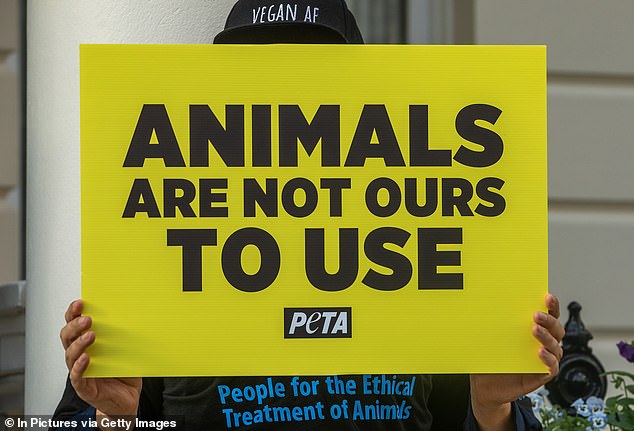 The photo was taken by an artist called 'The Vegan Rapper', who has not yet responded to PETA's post.  The group has also not yet responded to the criticism