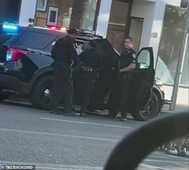 End of the road: An officer helped her into the vehicle.  They didn't seem to worry about her as she was allowed to stand without anyone grabbing her.  She looked stone-faced throughout the entire ordeal