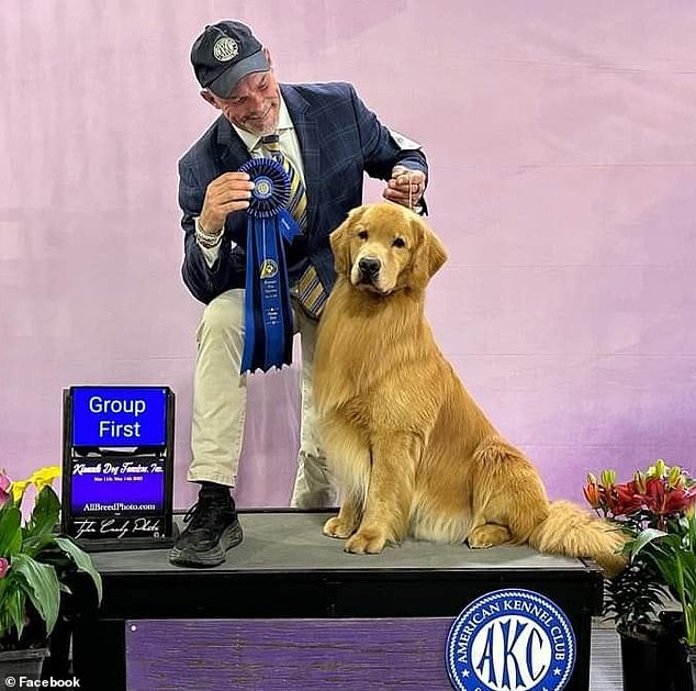 Ike became ill while competing in the Golden Retriever Club of America's top 20 shows, where he ranked among the top five Goldens in the US.