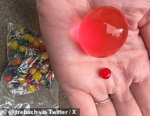 Dr.  Josh Trebach, an emergency room doctor in Iowa, shared photos on Twitter of water beads that quadrupled in size