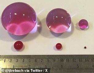 Dr.  Josh Trebach, an emergency room doctor in Iowa, shared photos on Twitter of water beads that quadrupled in size