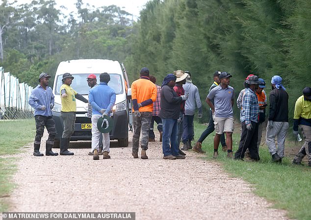 Innocent workers from Fiji and Tonga told Daily Mail Australia the alleged rape was 