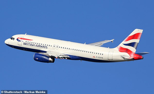 Flying low: Getting an explanation from BA was like pulling teeth from an unwilling animal