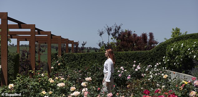 The rose garden has more than 350 different roses that Lek planted himself over five years