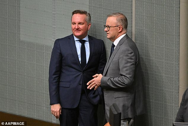 Energy Minister Chris Bowen is pictured with Prime Minister Anthony Albanese