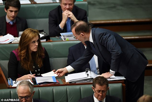 Some astute political observers have drawn comparisons between Mr Dutton's response and the work of Tony Abbott in 2013, when he was advised by Peta Credlin (pictured together)