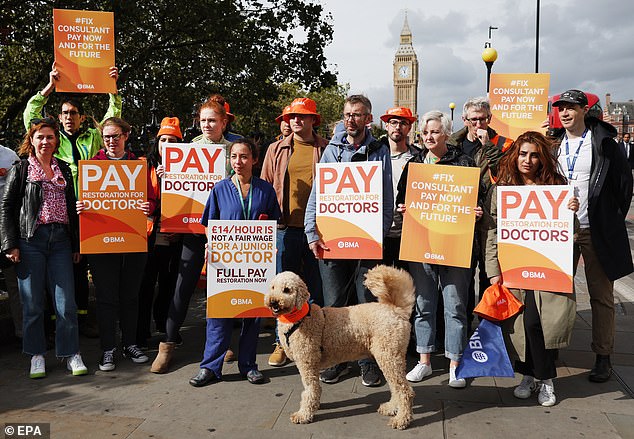 Pictured: NHS consultants and trainee doctors carry signs as they strike outside St Thomas' Hospital in London on September 20