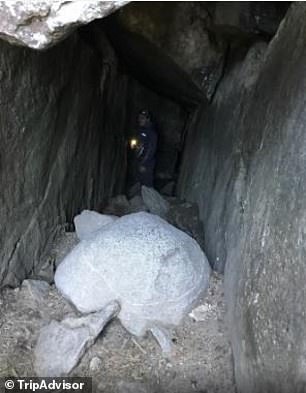 An analysis of the cave revealed that it harbors a distinct resonance phenomenon that amplifies and lengthens sounds at specific frequencies