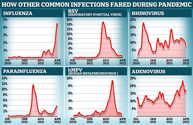 MailOnline has analyzed the percentage of people who tested positive for flu, rhinovirus, parainfluenza, RSV, hMPV and adenovirus in England during the pandemic.  Rates for all viruses except rhinovirus were higher in April 2022 than in the same period the year before, when people were only allowed to meet in groups of six, working from home was still in place and hugging was still discouraged