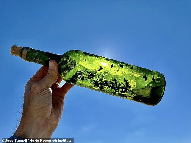 People who are superstitious fear opening witch bottles because they believe the items contain various spells