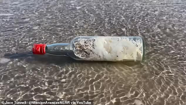 People have also created witches' bottles to throw into the ocean and possibly be discovered by researchers like Tunnell