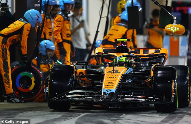 McLaren could become Red Bull's biggest challengers next season after a year of progress