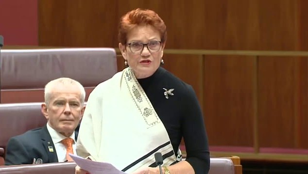 Senator Pauline Hanson has angrily rejected the term 'Traditional Owners' in a fiery speech