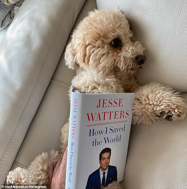 Watters' miniature poodle, Rookie, is believed to still live with their family