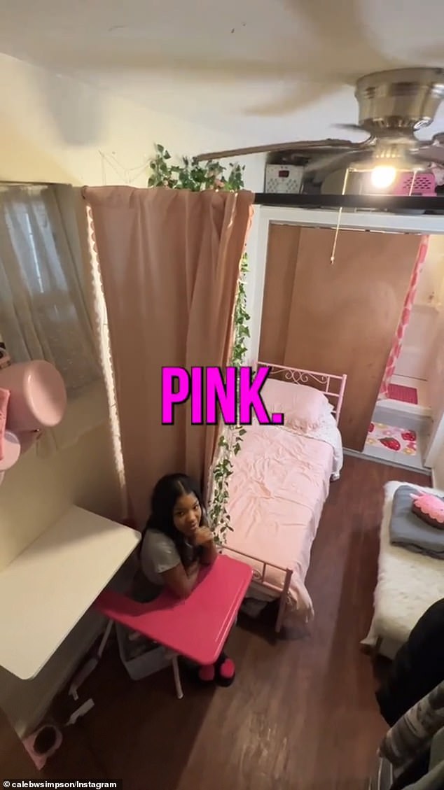 The apartment has a pink theme and she has a curtain rod that separates her sleeping area and living area