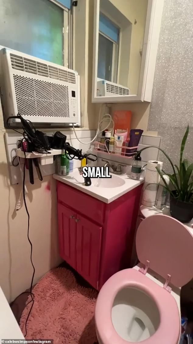 Even her toilet seat is pink, as is her sink cabinet, and there is a fluffy pink bath mat on the floor